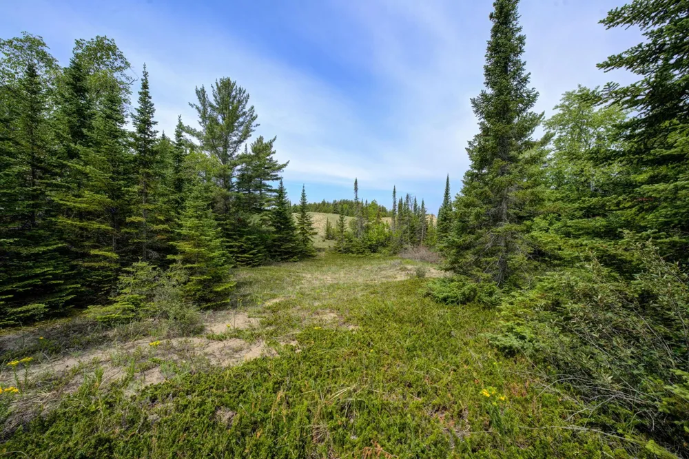 3312 Old State Road Lake Township, MI 49635