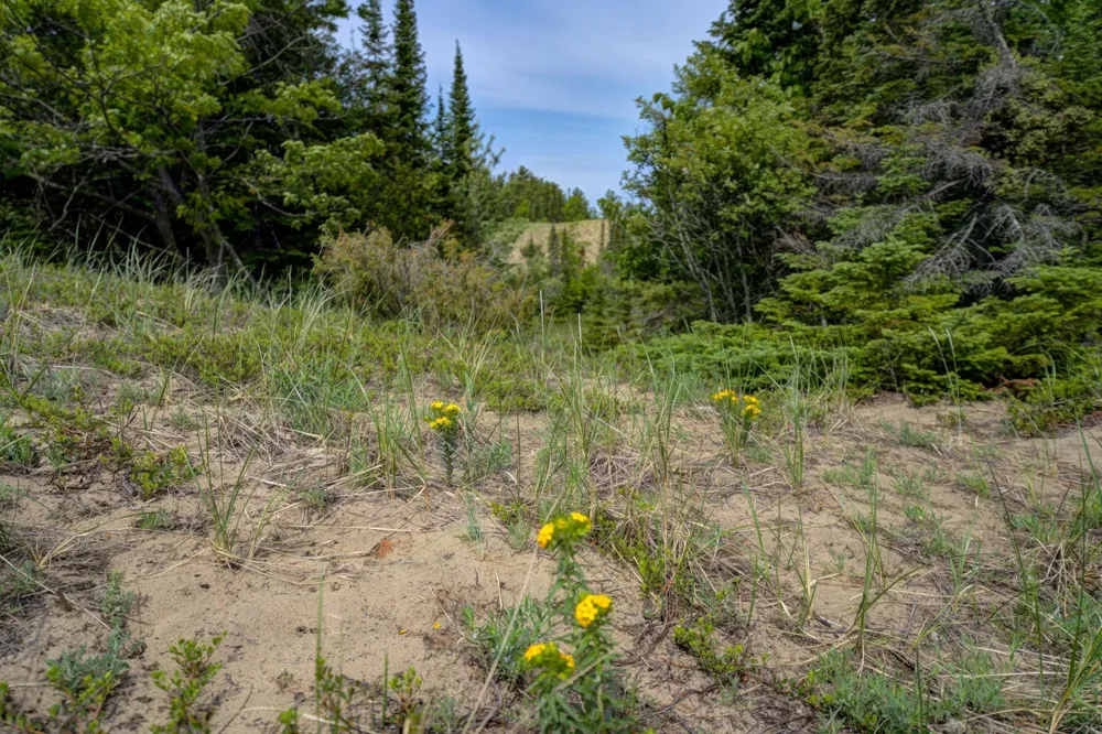 3312 Old State Road Lake Township, MI 49635