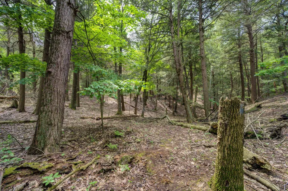 3312 Old State Road Lake Township, MI 49635