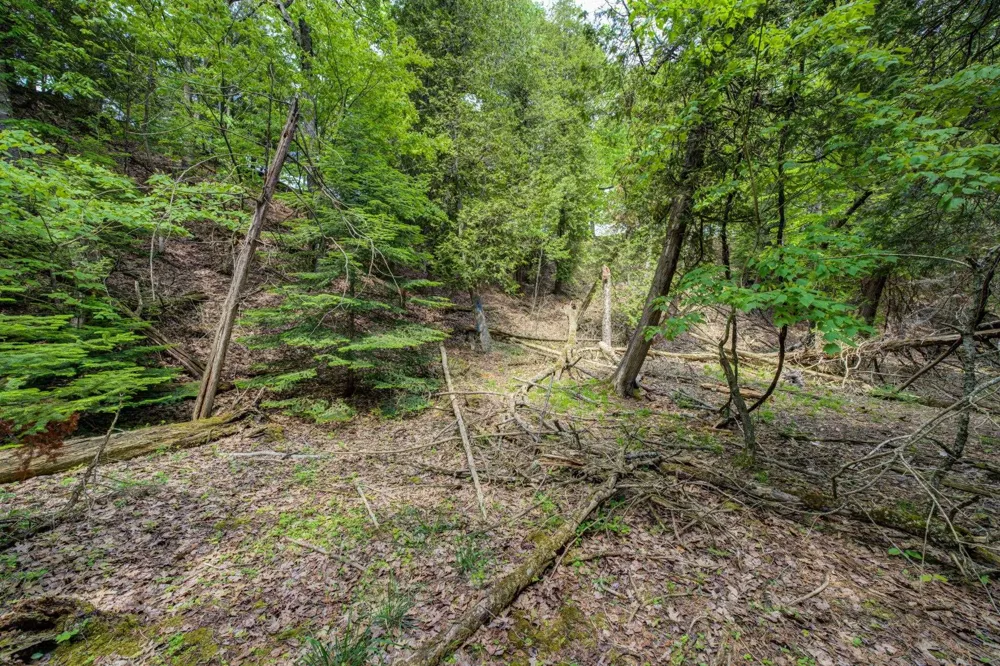 3312 Old State Road Lake Township, MI 49635