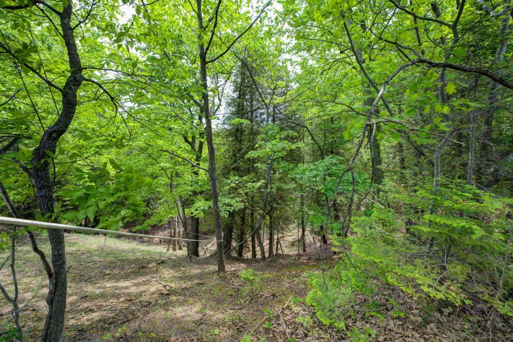 3312 Old State Road Lake Township, MI 49635