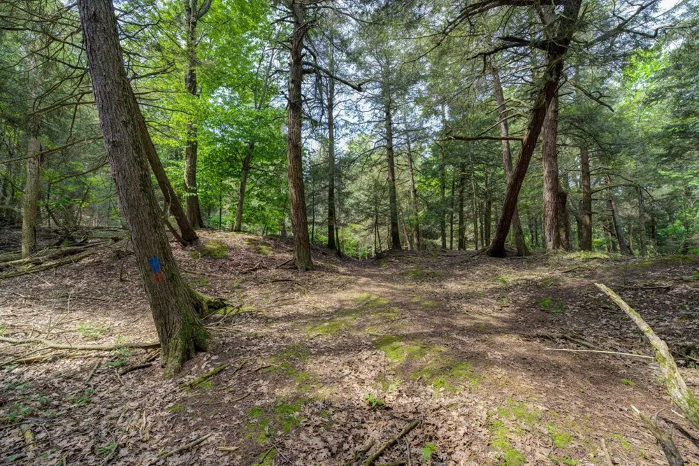 3312 Old State Road Lake Township, MI 49635