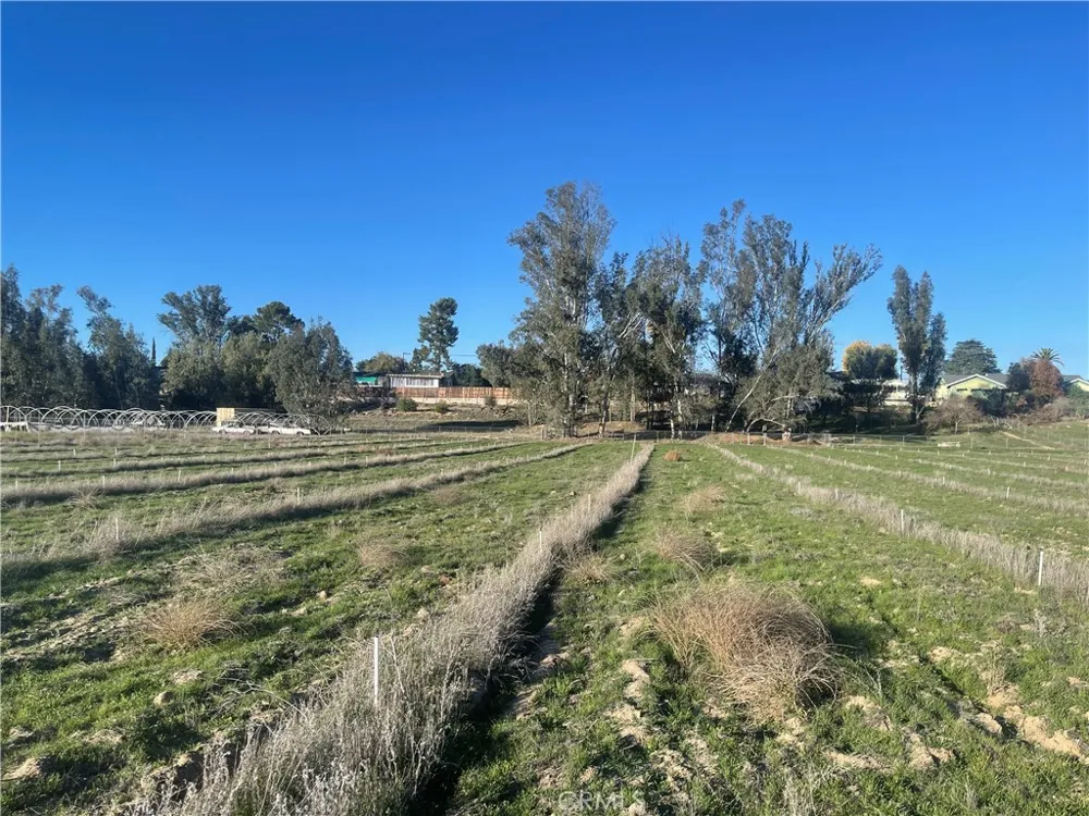 27560 Cornell St Hemet, CA 92544