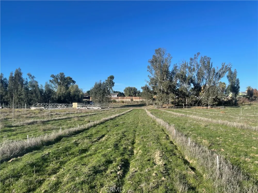 27560 Cornell St Hemet, CA 92544