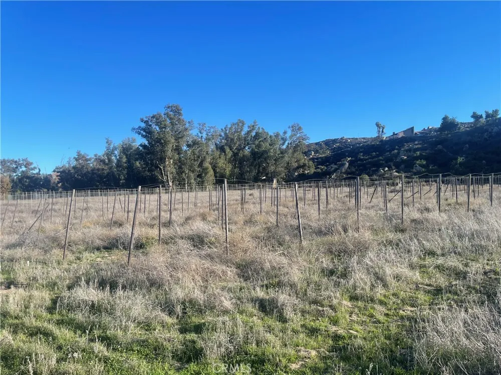 27560 Cornell St Hemet, CA 92544