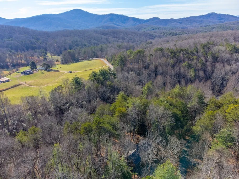 Kennelly Loop Murphy, NC 28906