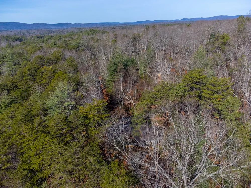 Kennelly Loop Murphy, NC 28906