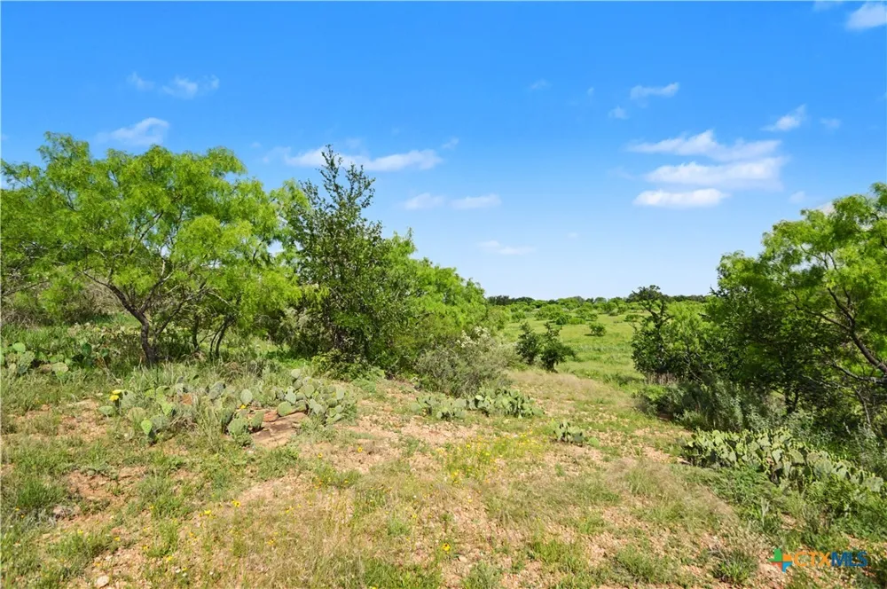 8498 CR 121 San Saba, TX 76877