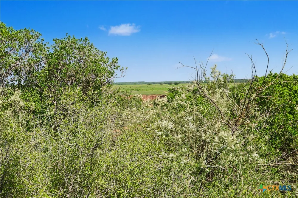 8498 CR 121 San Saba, TX 76877