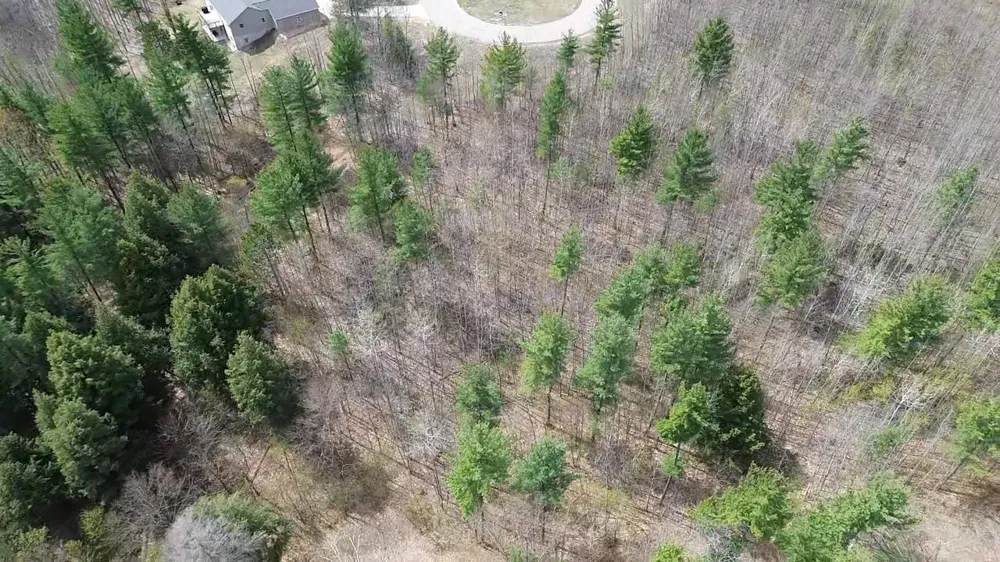 5479 Glendenning Trail Whitewater Township, MI 49690