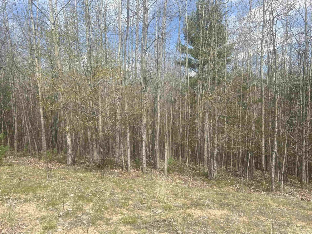 5479 Glendenning Trail Whitewater Township, MI 49690