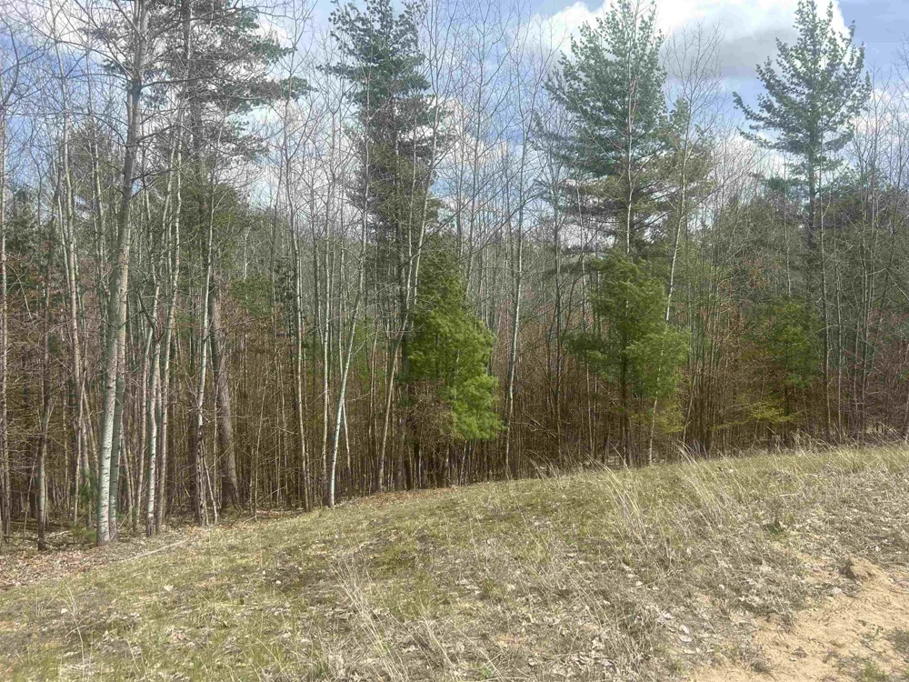 5479 Glendenning Trail Whitewater Township, MI 49690