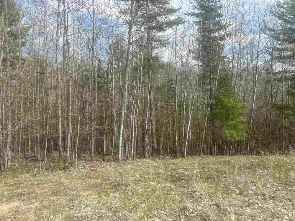 5479 Glendenning Trail Whitewater Township, MI 49690