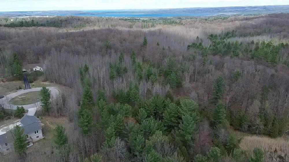 5479 Glendenning Trail Whitewater Township, MI 49690