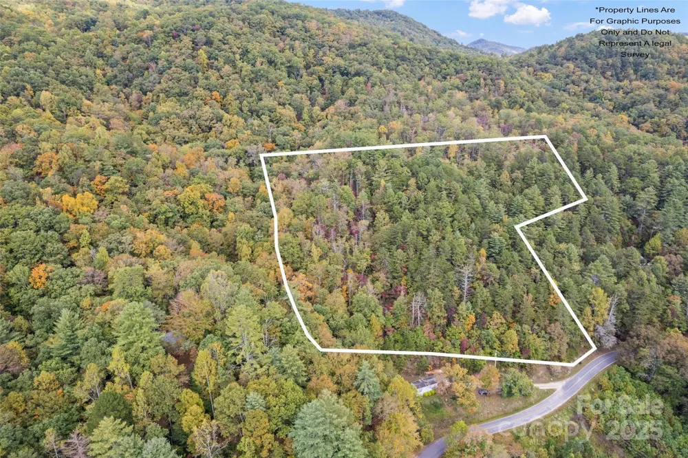 99999 Chastain Road Scaly Mountain, NC 28775