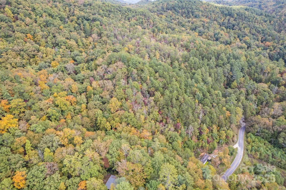 99999 Chastain Road Scaly Mountain, NC 28775