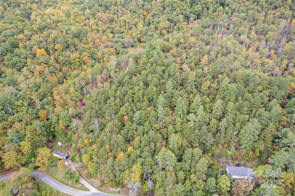 99999 Chastain Road Scaly Mountain, NC 28775