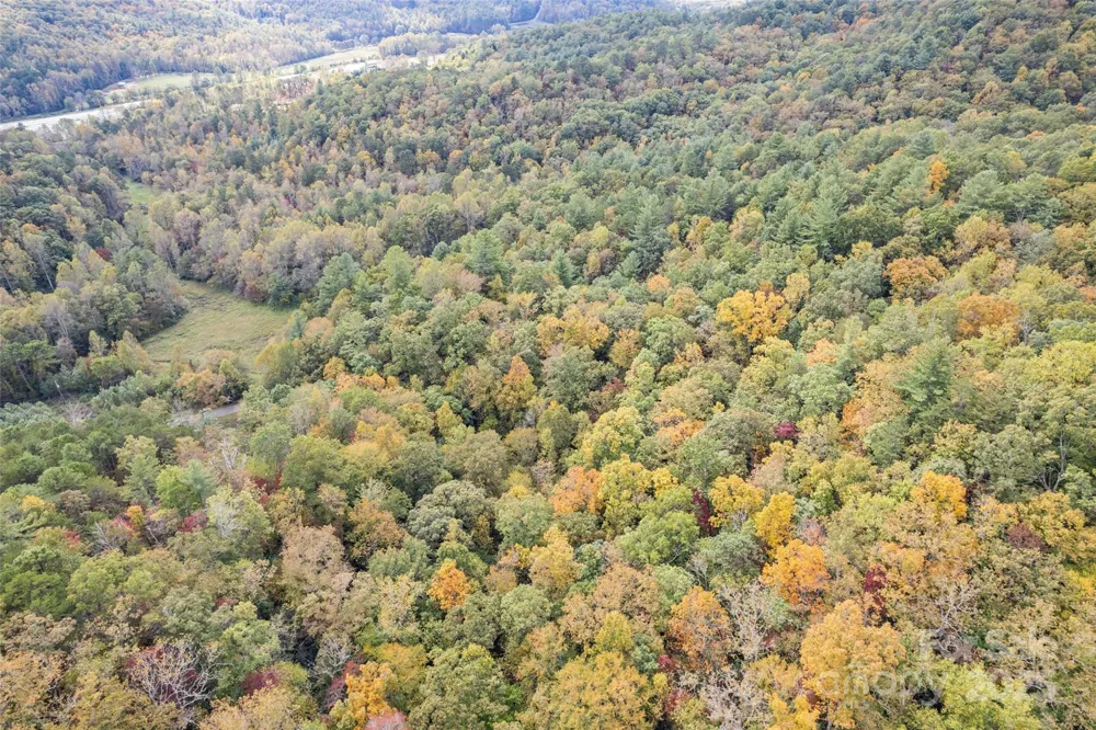 99999 Chastain Road Scaly Mountain, NC 28775
