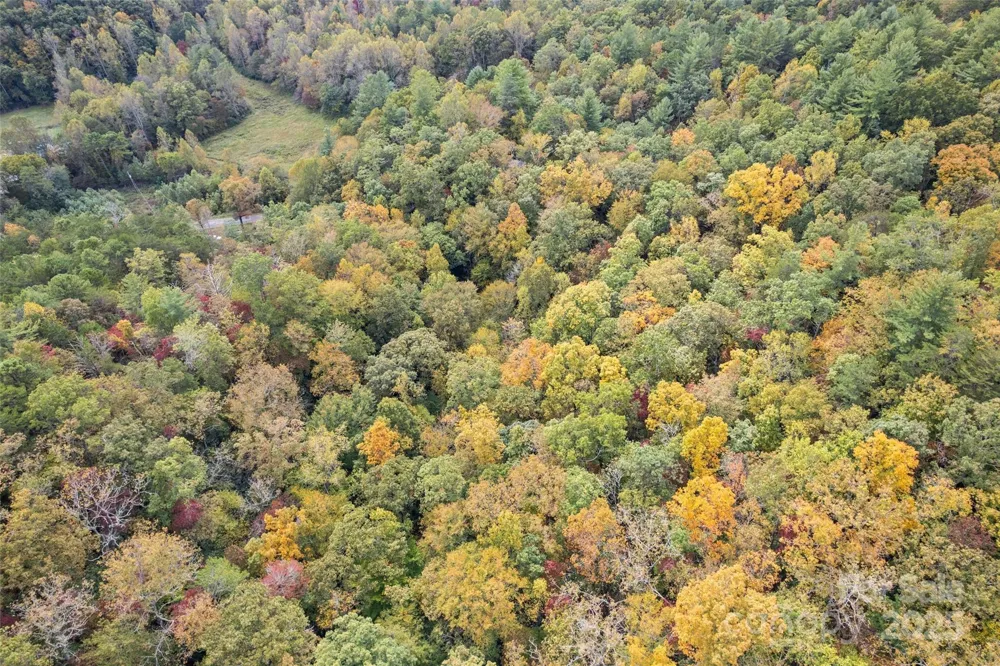 99999 Chastain Road Scaly Mountain, NC 28775