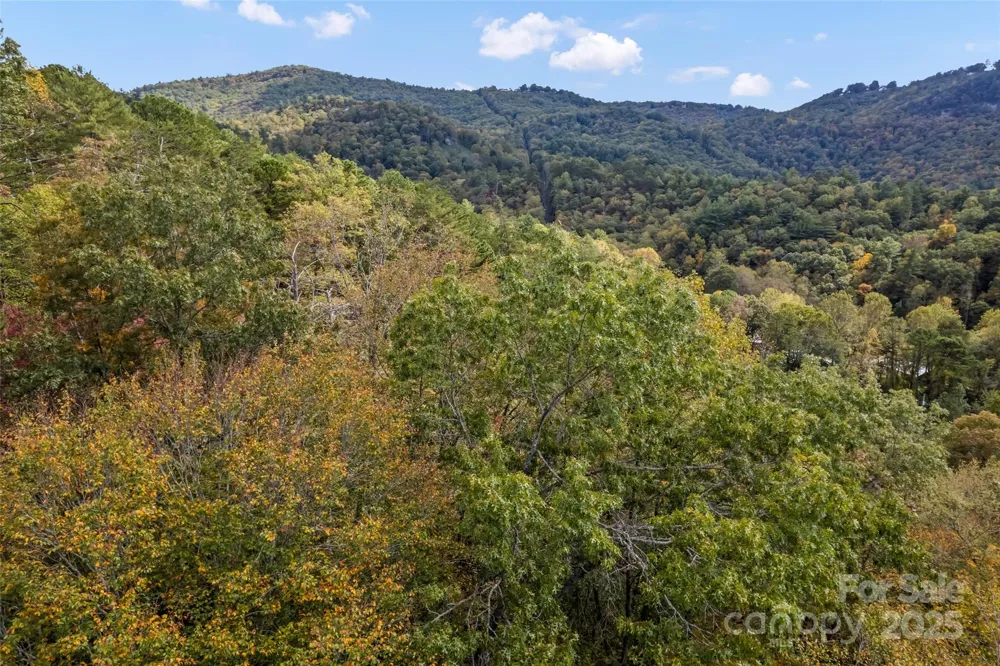 99999 Chastain Road Scaly Mountain, NC 28775