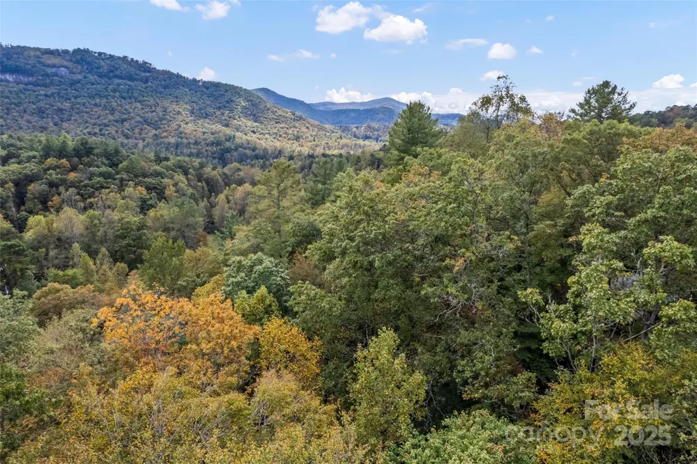 99999 Chastain Road Scaly Mountain, NC 28775