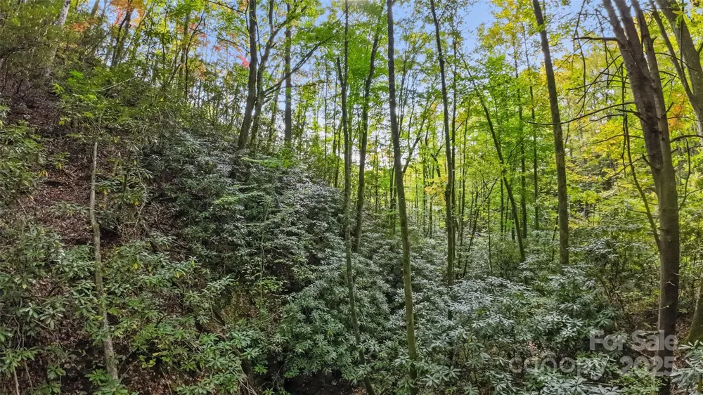 99999 Chastain Road Scaly Mountain, NC 28775