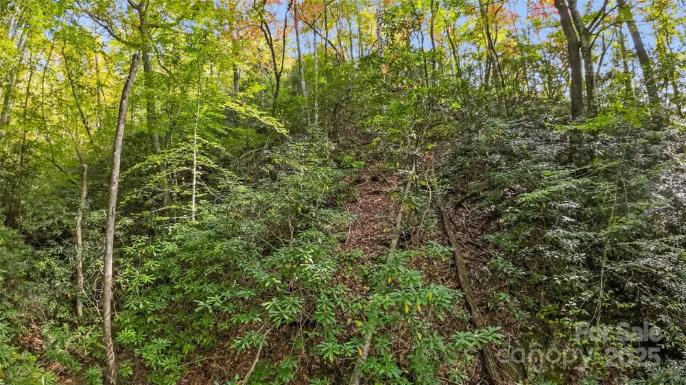 99999 Chastain Road Scaly Mountain, NC 28775