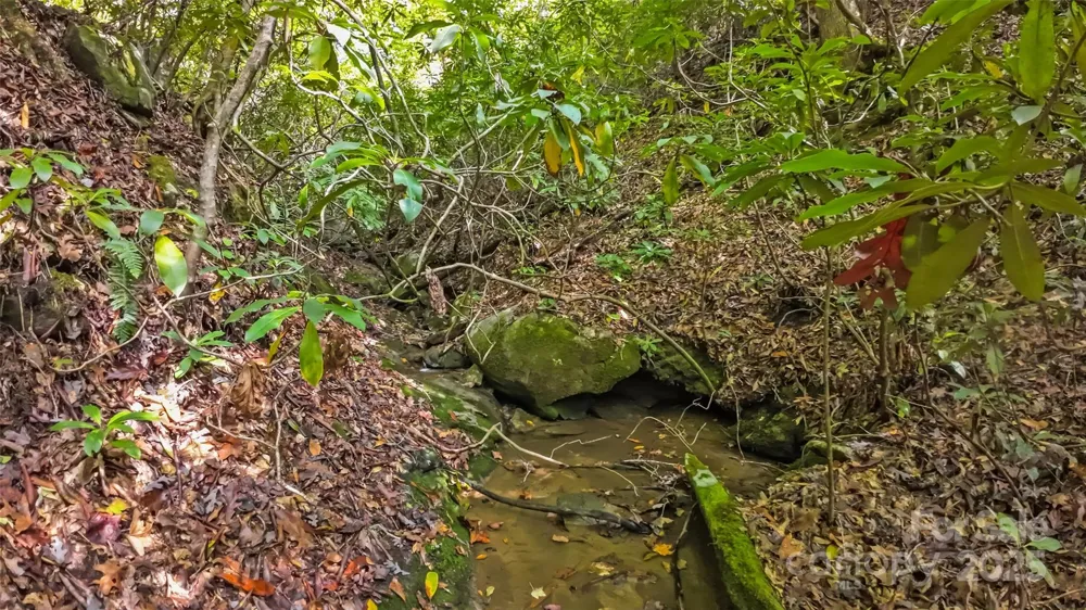 99999 Chastain Road Scaly Mountain, NC 28775