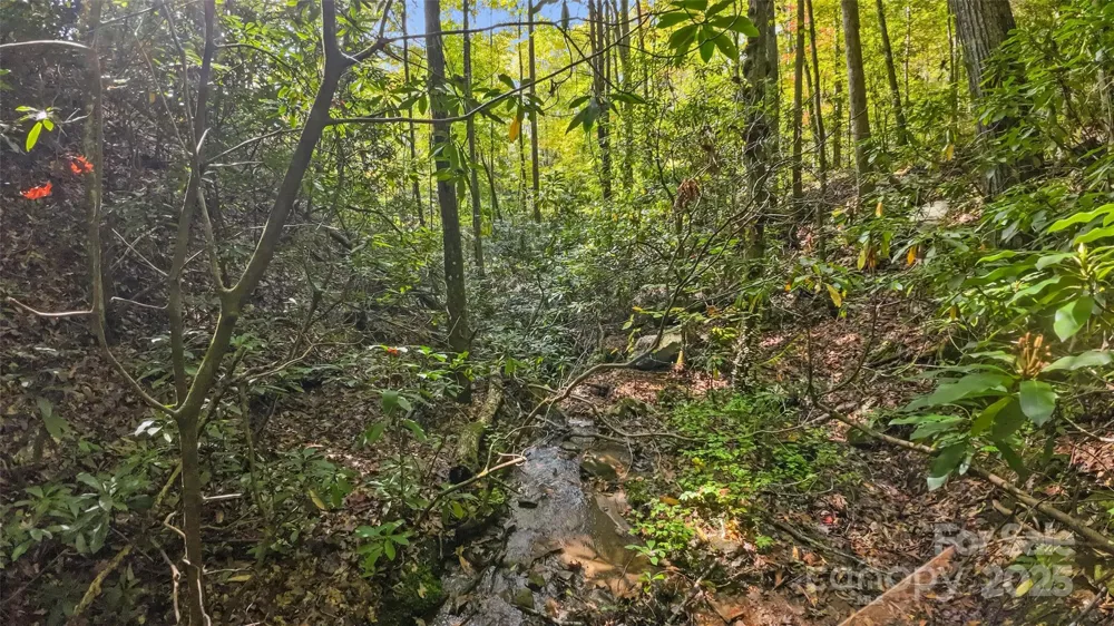 99999 Chastain Road Scaly Mountain, NC 28775