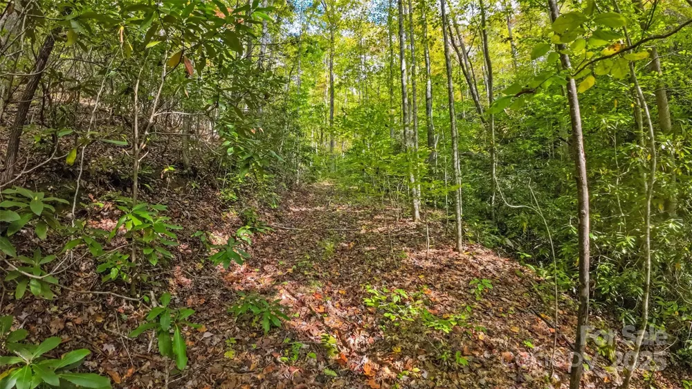 99999 Chastain Road Scaly Mountain, NC 28775