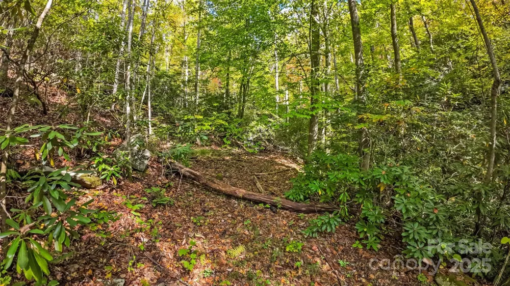 99999 Chastain Road Scaly Mountain, NC 28775