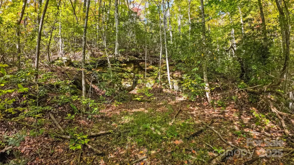 99999 Chastain Road Scaly Mountain, NC 28775
