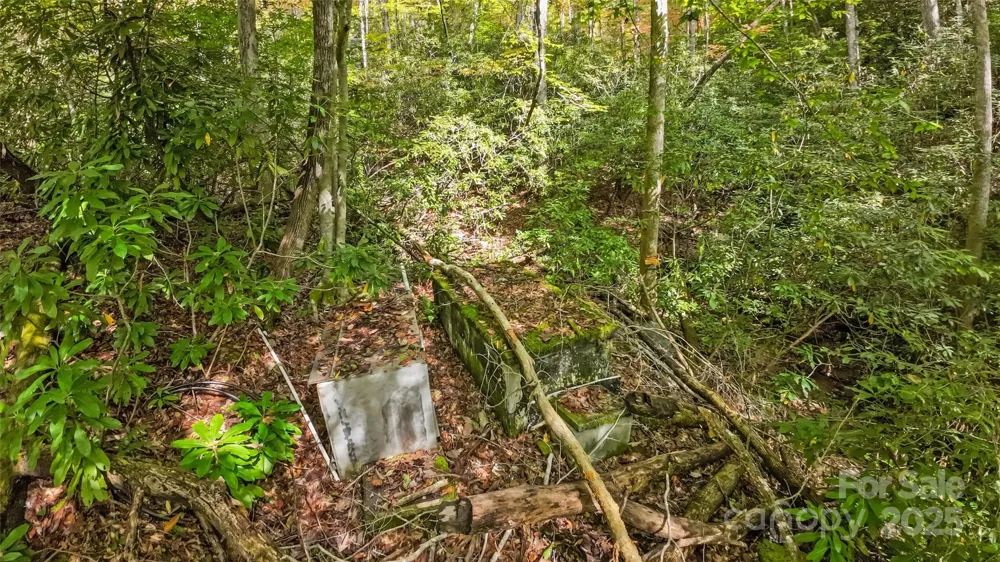 99999 Chastain Road Scaly Mountain, NC 28775