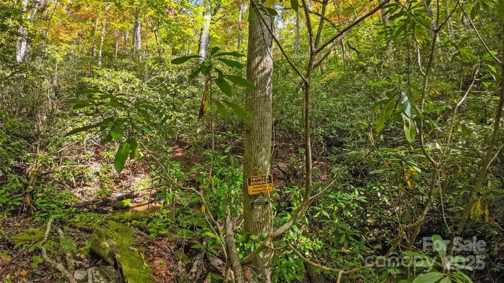 99999 Chastain Road Scaly Mountain, NC 28775