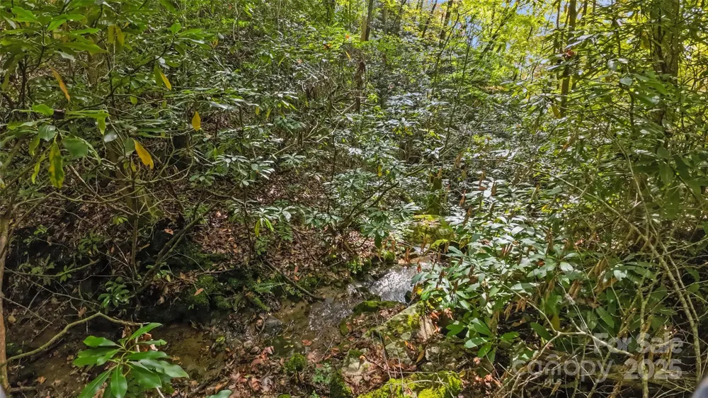 99999 Chastain Road Scaly Mountain, NC 28775