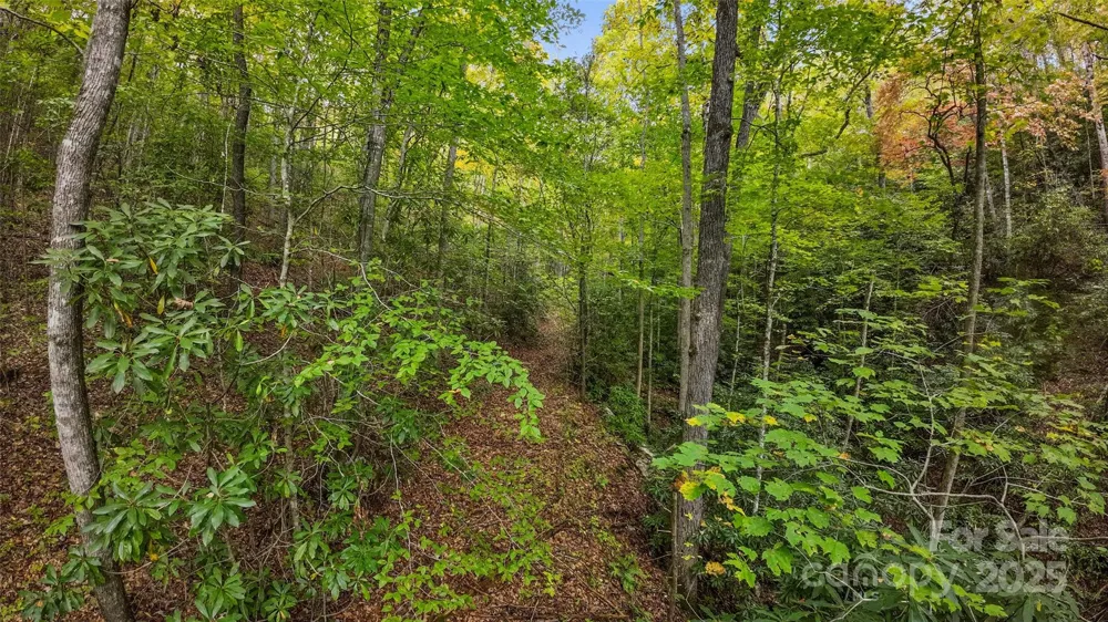 99999 Chastain Road Scaly Mountain, NC 28775