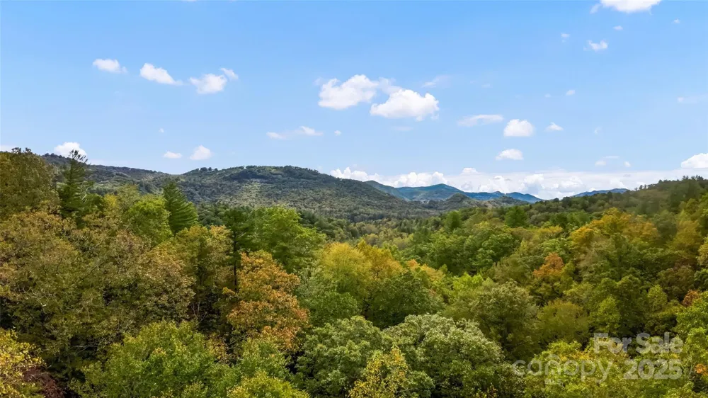 99999 Chastain Road Scaly Mountain, NC 28775