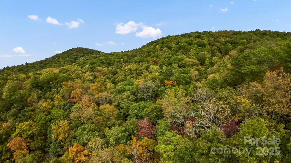 99999 Chastain Road Scaly Mountain, NC 28775