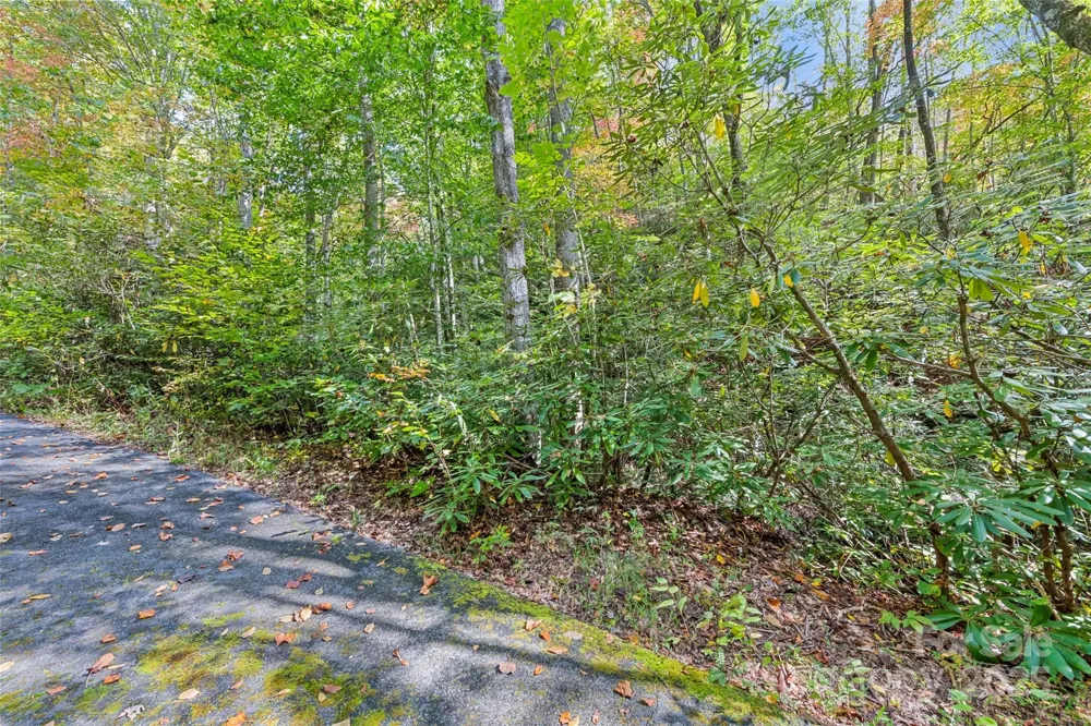 99999 Chastain Road Scaly Mountain, NC 28775