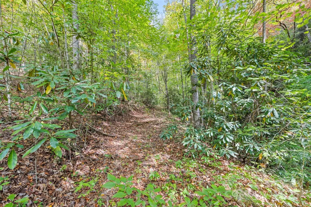 99999 Chastain Road Scaly Mountain, NC 28775