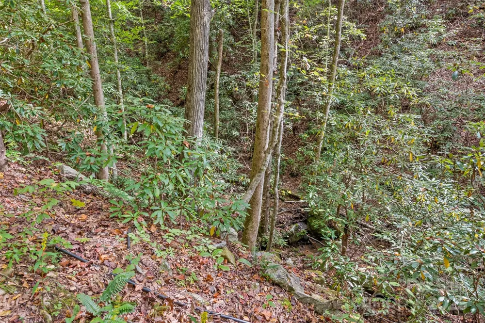 99999 Chastain Road Scaly Mountain, NC 28775
