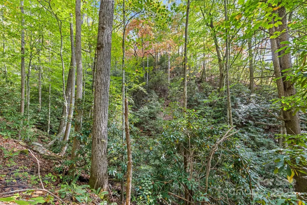 99999 Chastain Road Scaly Mountain, NC 28775