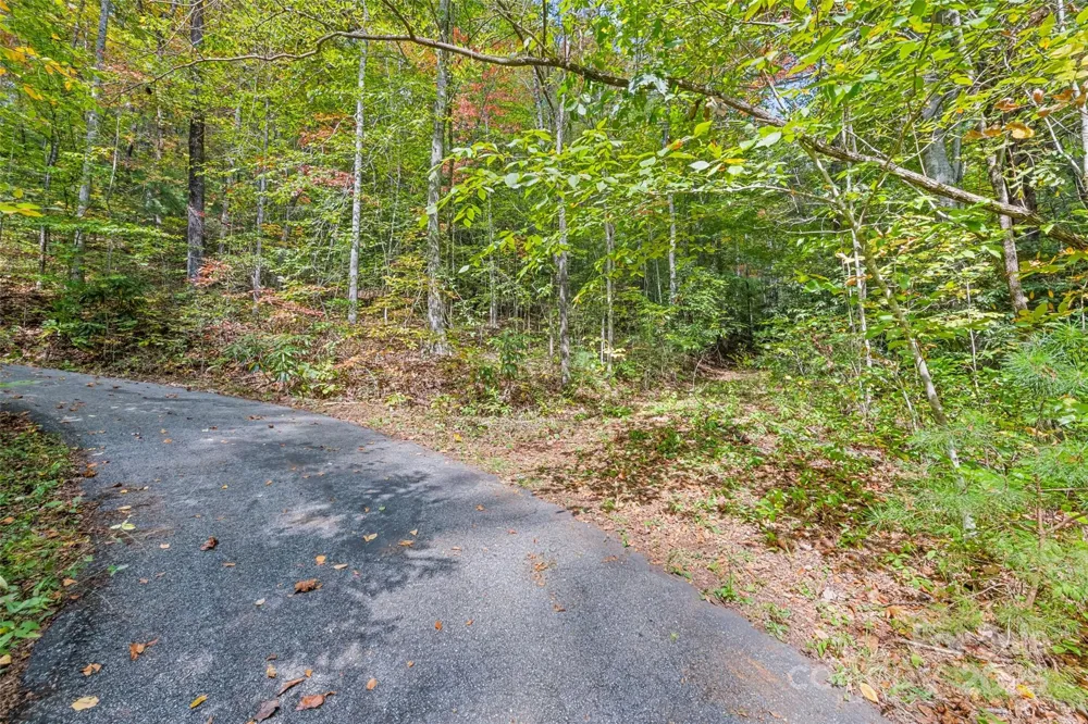 99999 Chastain Road Scaly Mountain, NC 28775