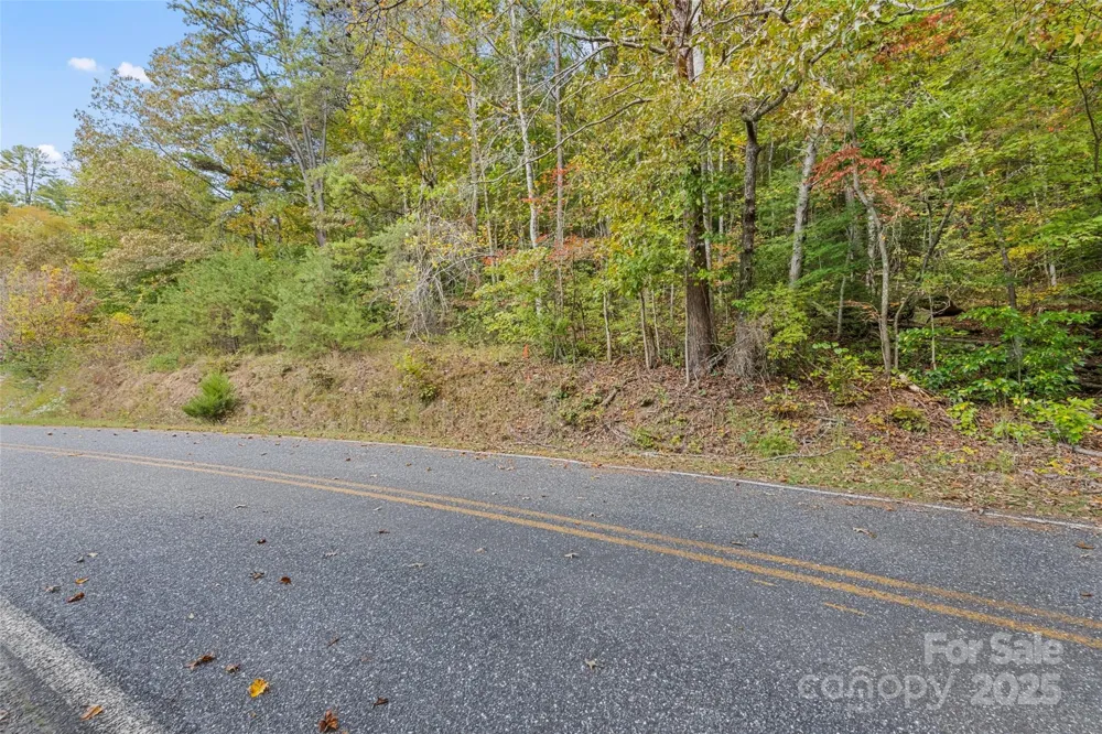 99999 Chastain Road Scaly Mountain, NC 28775