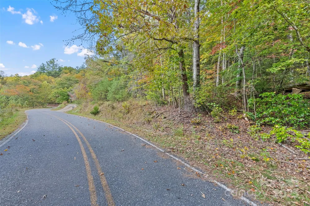 99999 Chastain Road Scaly Mountain, NC 28775