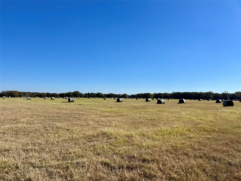 300 County Road 2100 Road Seven Points, TX 75143