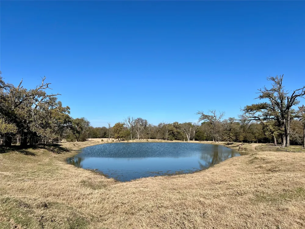 300 County Road 2100 Road Seven Points, TX 75143