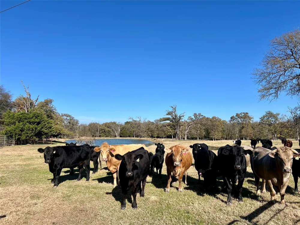 300 County Road 2100 Road Seven Points, TX 75143