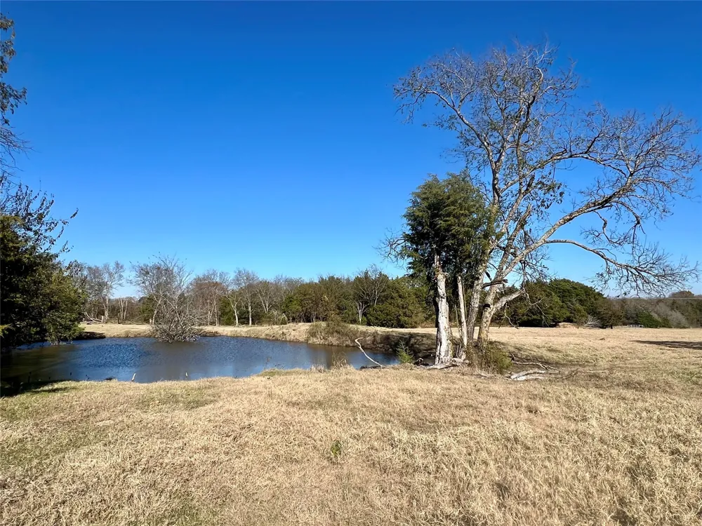 300 County Road 2100 Road Seven Points, TX 75143