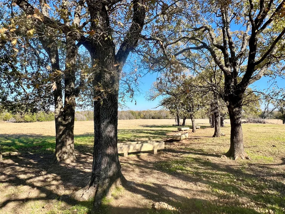 300 County Road 2100 Road Seven Points, TX 75143